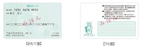 通知カードの表面と裏面の見本画像