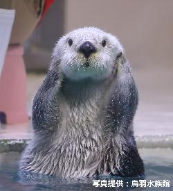 ふるさと応援大使第2号のメイ氏の写真
