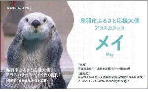メイ氏の名刺(表面)