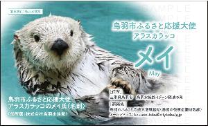 メイ氏の名刺B(表面)