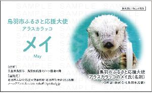 メイ氏の名刺C(表面)
