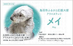 メイ氏の名刺D(表面)