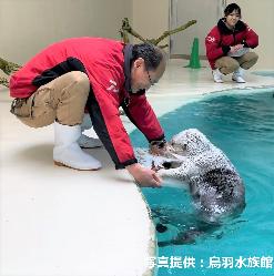 飼育員さんからメイ氏へイセエビのアイスケーキがプレゼントされる様子の写真