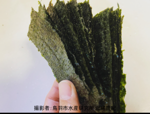 手巻き寿司などに使われる加工済みの板のりの画像