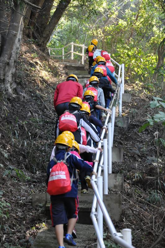 画像:黄色いヘルメットを被った数人が木々に囲まれた中にある急な階段を登っている様子を後ろから写した写真
