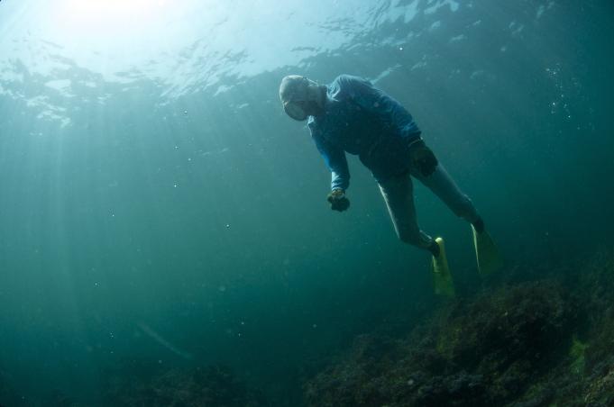 海中に浮遊しているダイバーの写真