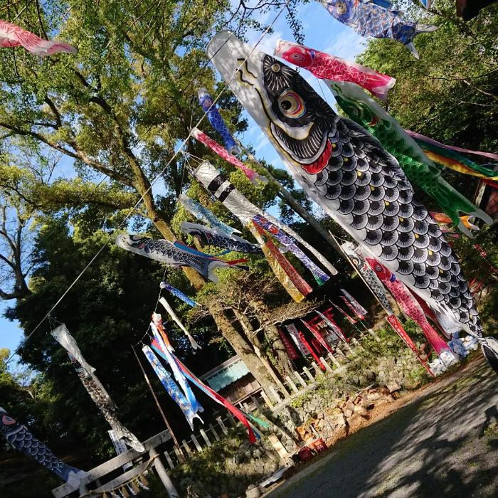 大山祇神社のこいのぼり