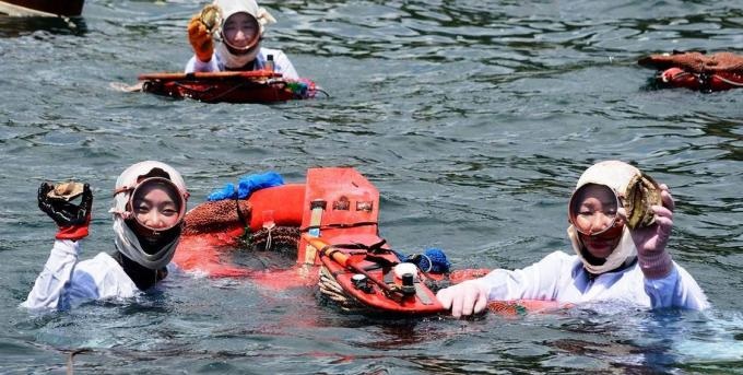 3名の海女が手に鮑をもって海に浮かびながら笑顔でこちらを向いている写真