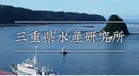 三重県水産研究所