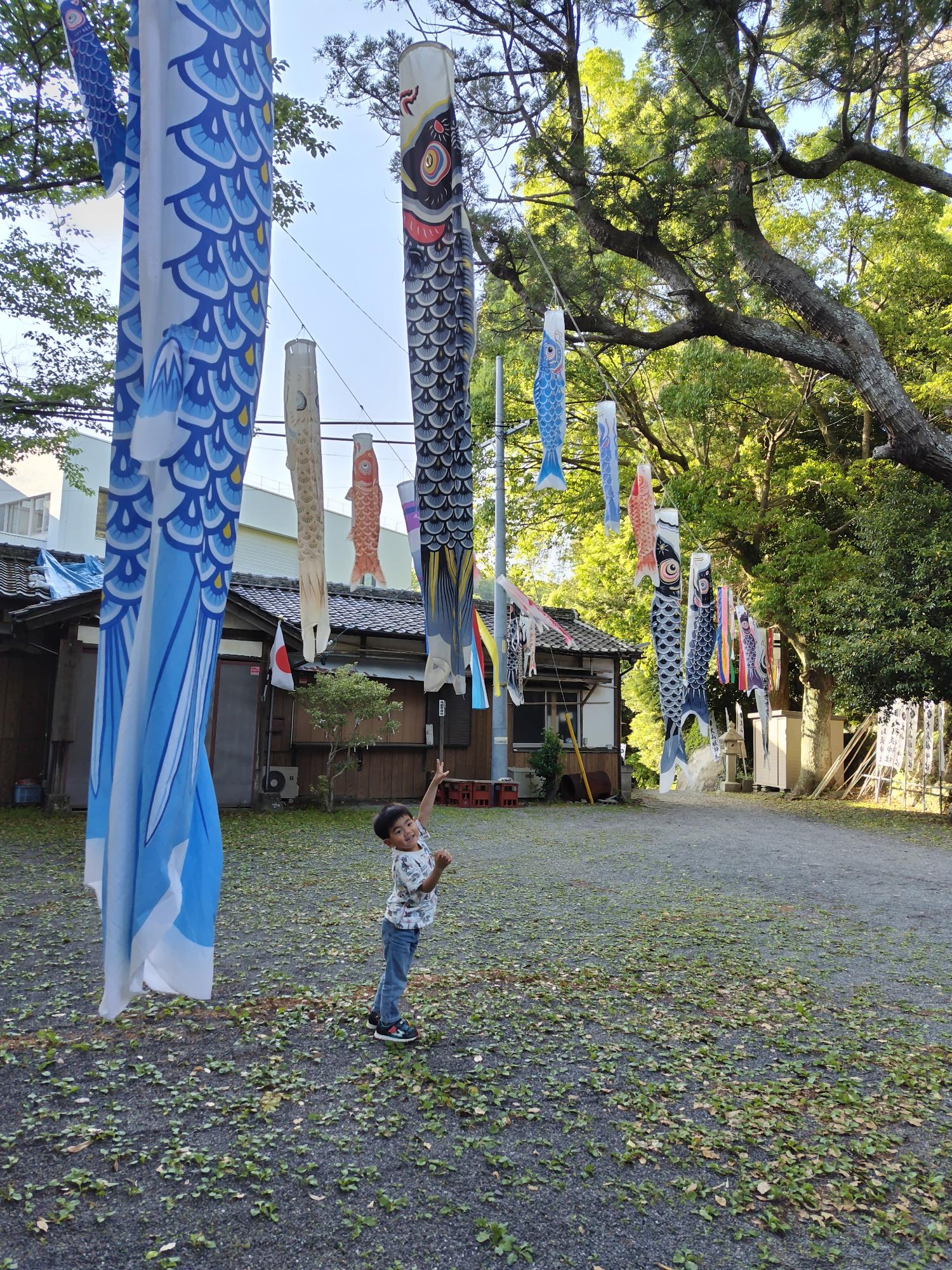 こいのぼり届くかな