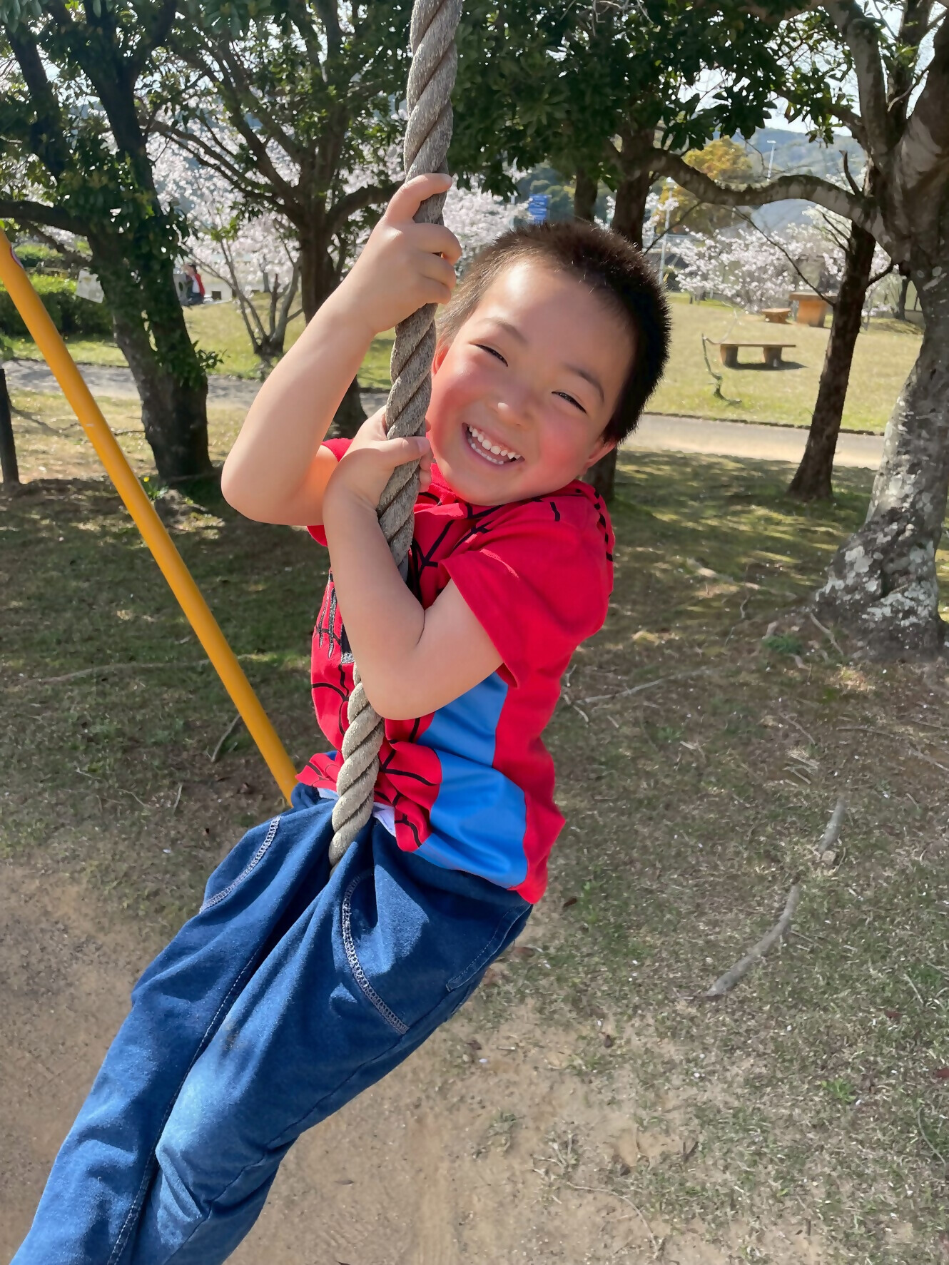 市民の森のスパイダーマン