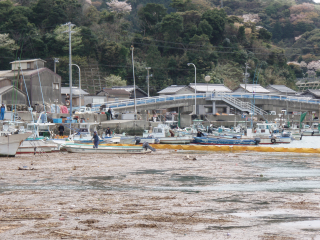 大雨によって、ゴミが流れてきている答志島桃取漁港