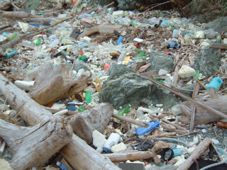 浜辺に流れ着いたペットボトルや流木などのゴミ