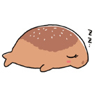 トパティ