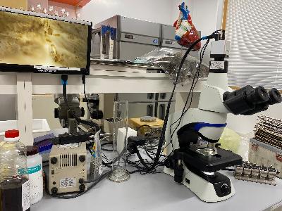 顕微鏡とモニターです。観察した種苗の様子をモニターに映すことで、漁業者や学生などと一緒に見ることができます。