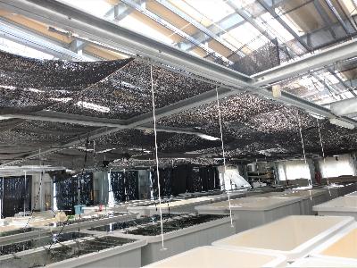 水槽の上部分と屋根には遮光シートが張り巡らされており、明るさを調節できます。