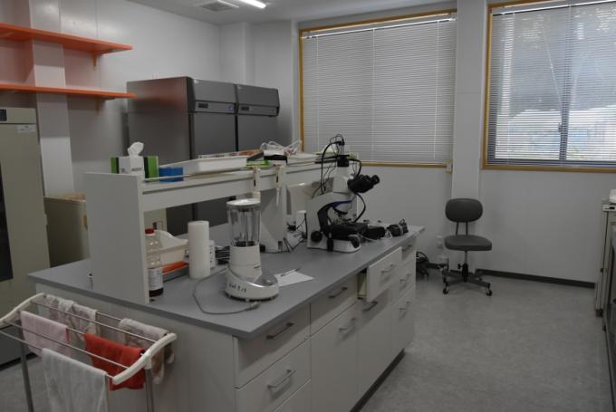 机の上に顕微鏡などの研究に使う道具が置かれ、机のわきにタオルハンガー、奥にはブラインドの締まった窓のある研究室の写真