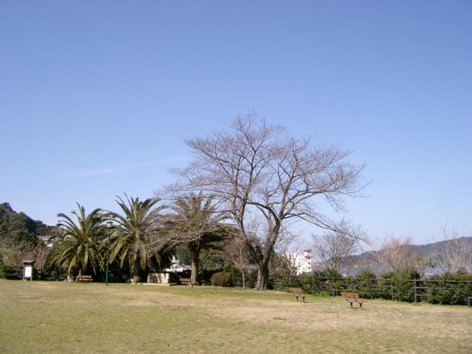 城山公園、芝生にベンチがあり木々がありそこから山を見ることができる写真画像
