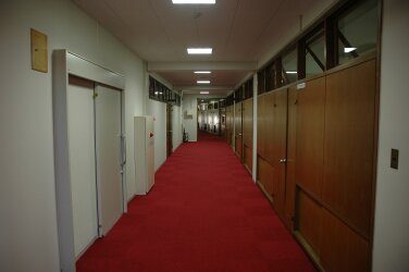 白い壁と木の扉が両脇に広がる、赤い絨毯が敷かれた廊下の写真