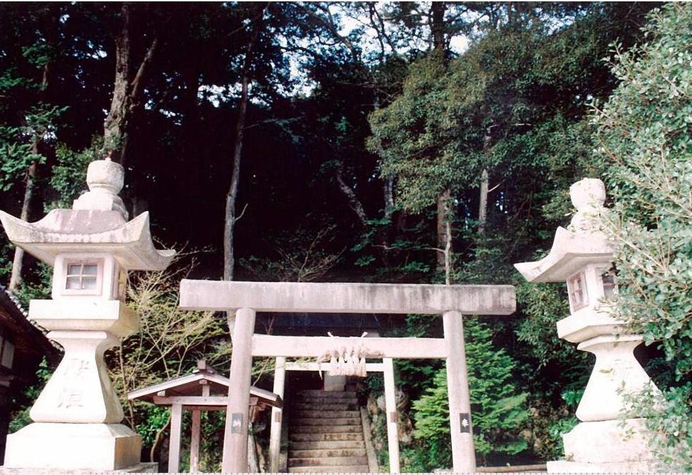 鳥居の向こうに階段が続いている加茂神社の樹叢一帯写真画像
