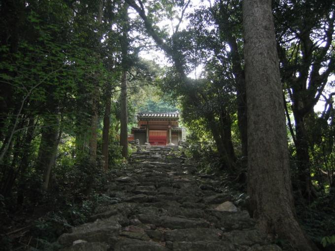 斜面にある丸山庫蔵寺境内の樹叢一帯の写真画像