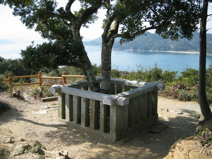 海が見える場所に石でできた囲いの中に2本に分かれた木が生えている 九鬼嘉隆墓(首塚)の写真画像