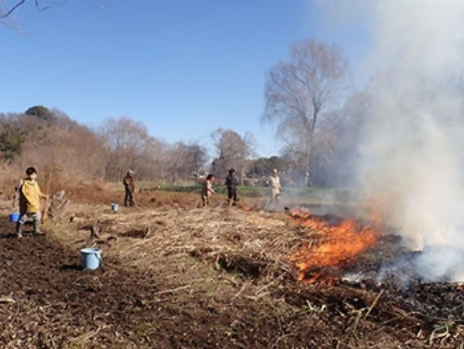 野焼き