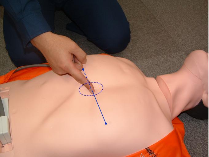 横たわる男性の人形を使い、胸の中心の胸骨圧迫部位を説明する写真
