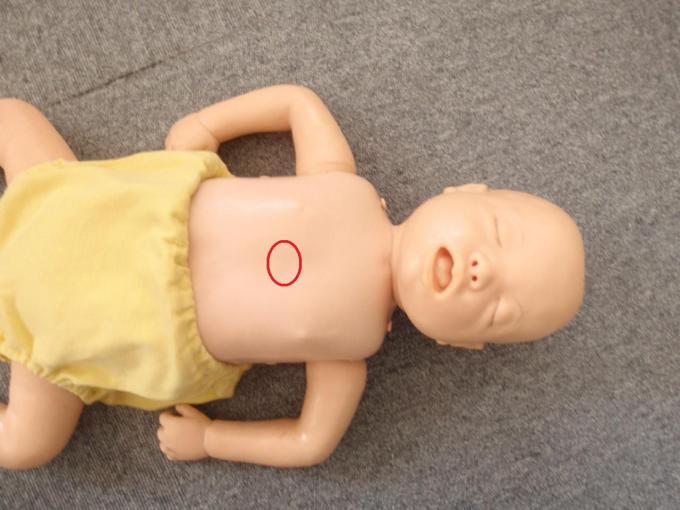 床に横たわる乳児の人形の胸部の中心に、圧迫位置の目印として赤い丸が書かれている写真