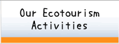 Our Ecotourism Activities