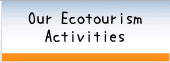 Our Ecotourism Activities