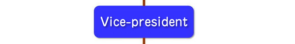 Vice-president
